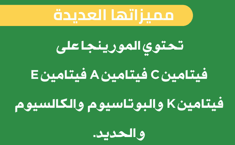 مكمل غذائي طبيعي - فيتاليس برو