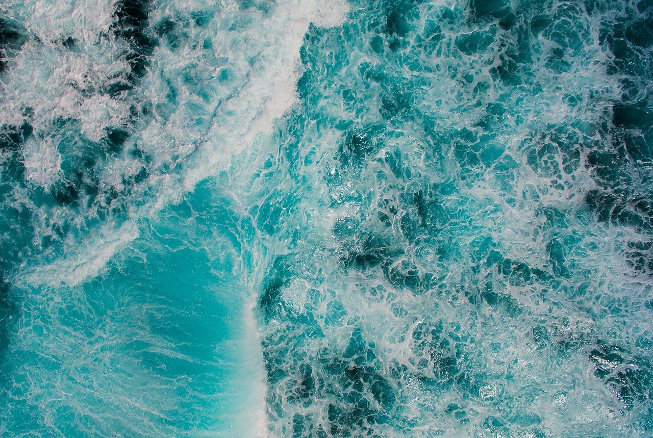 The ocean, source of marine collagen rich in type I peptides