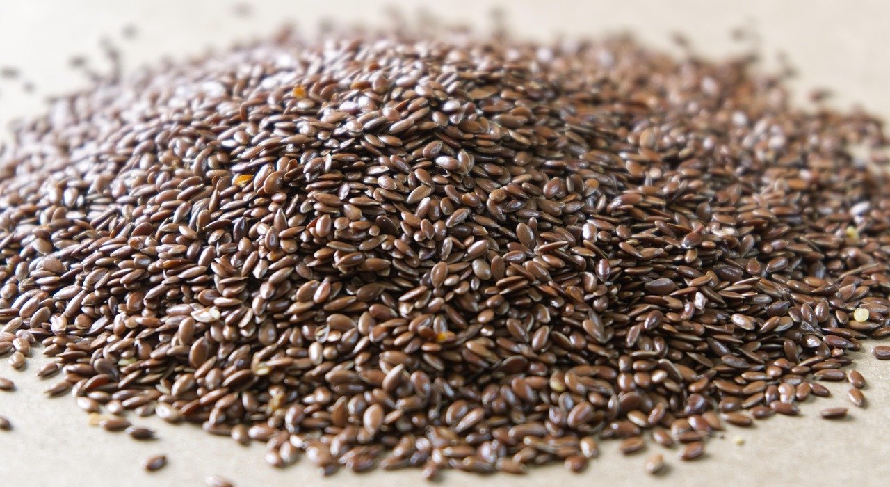 Flax and chia seeds, plant sources of omega-3 in the form of ALA