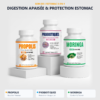 Pack digestion Propolis Probiotiques & Moringa – confort digestif & équilibre intestinal au Maroc