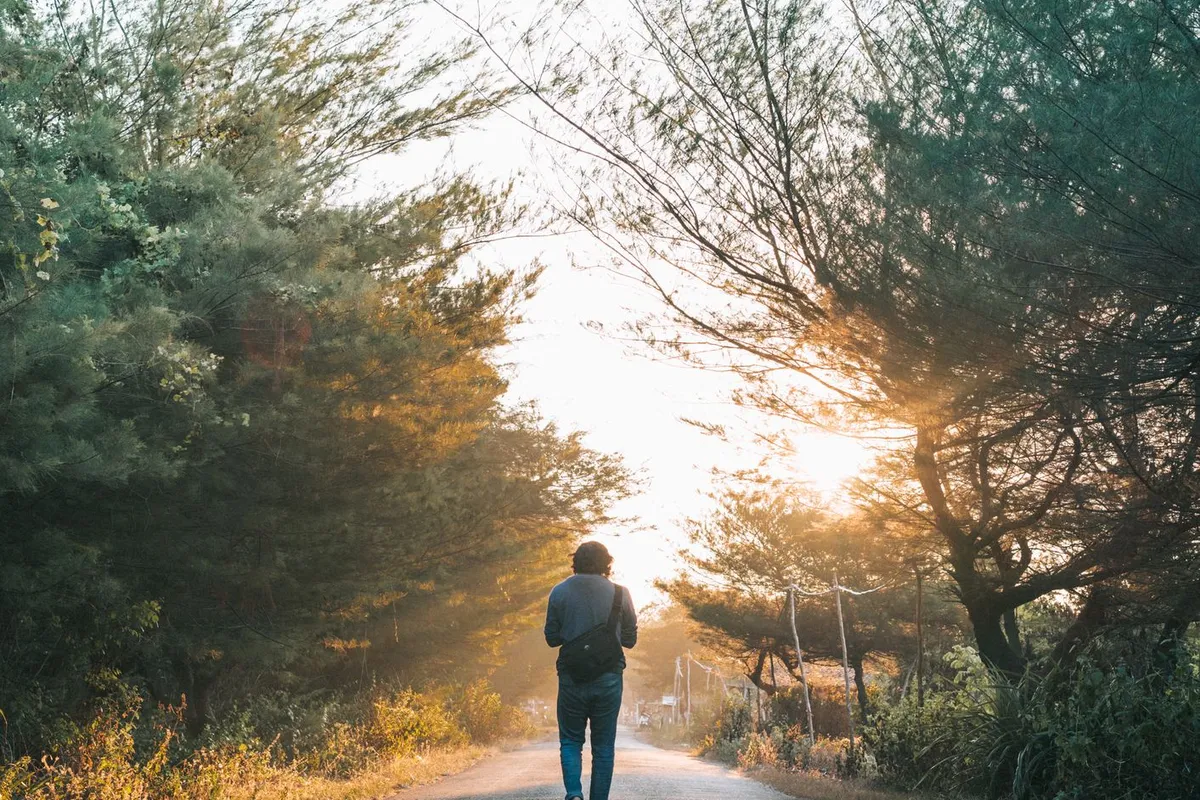 A man walking alone on a quiet tree-lined path in the morning light